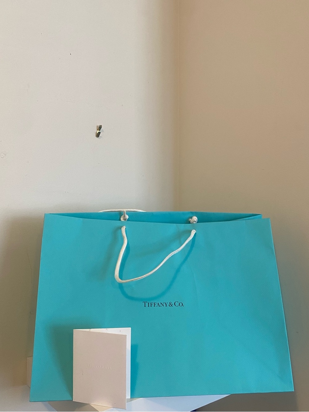Tiffany & Co. Blue Shopping Tote